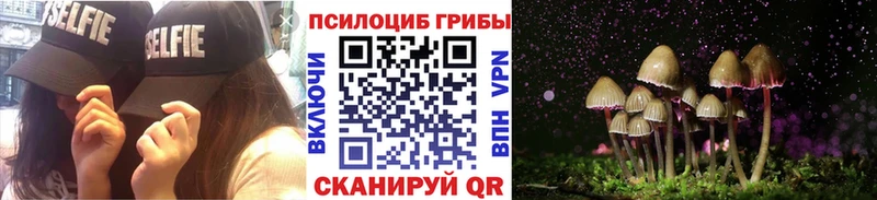 Купить закладки  Аша  Псилоцибиновые грибы Psilocybine cubensis 
