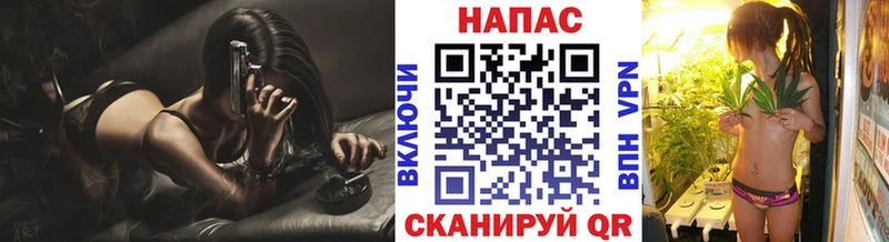 Купить где  Аша  Бошки Шишки сатива 